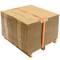 Pack of 2 Ratchet tie down straps with buckle 5m x 50mm 1200 Kg, Color orange