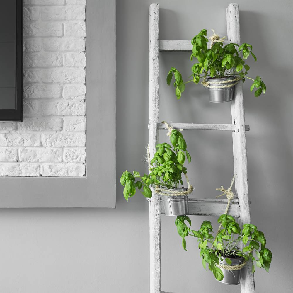 Twisted sisal rope 3 strands 20 m x 6 mm natural