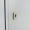 Metalen elektrische verdeelkast met IP65 bescherming voor wandmontage 300x300x150mm