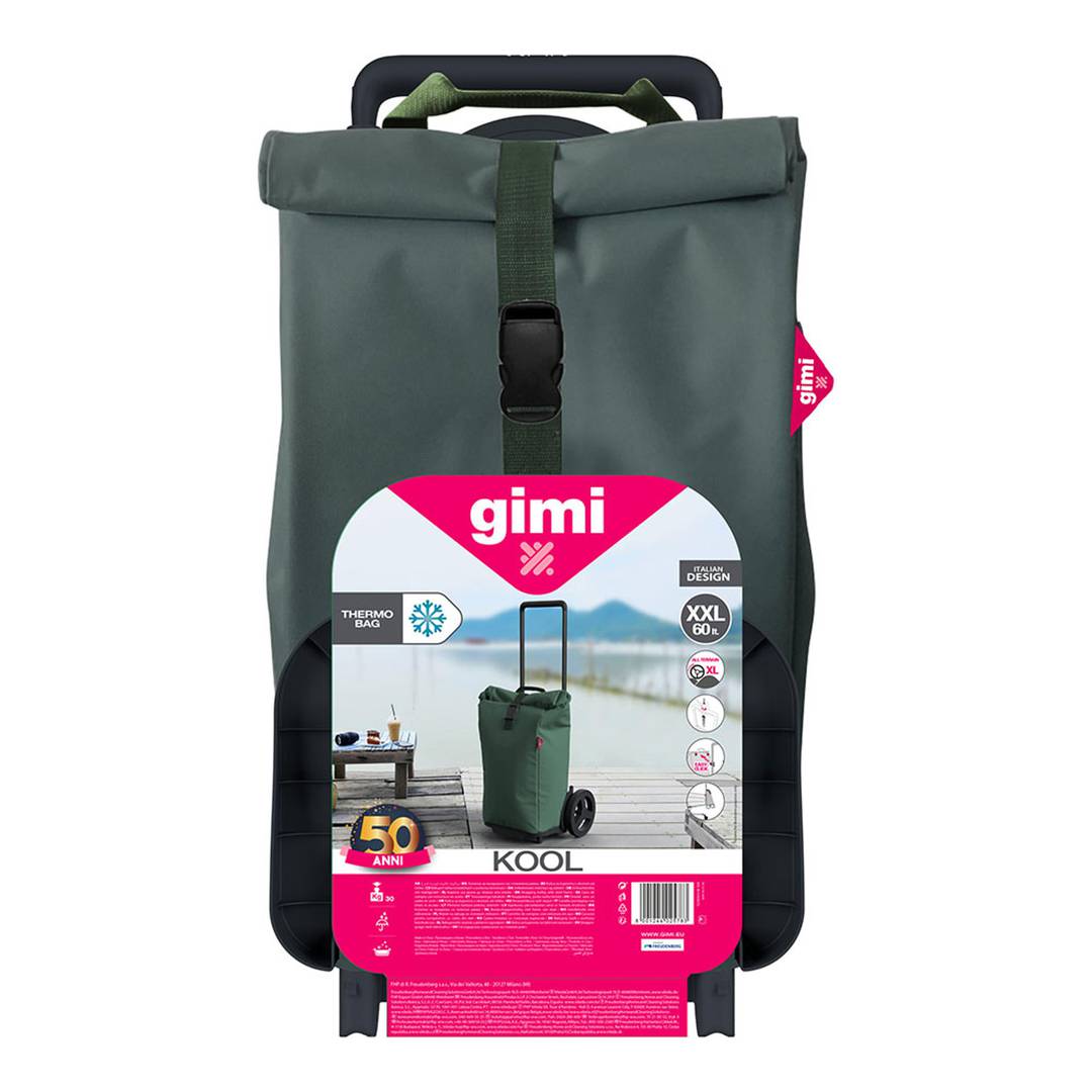 Chariot de courses pliable et étanche en polyester vert 60L