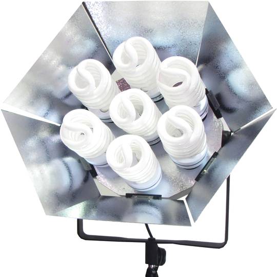 Spotlight 455W continui con hex fienile