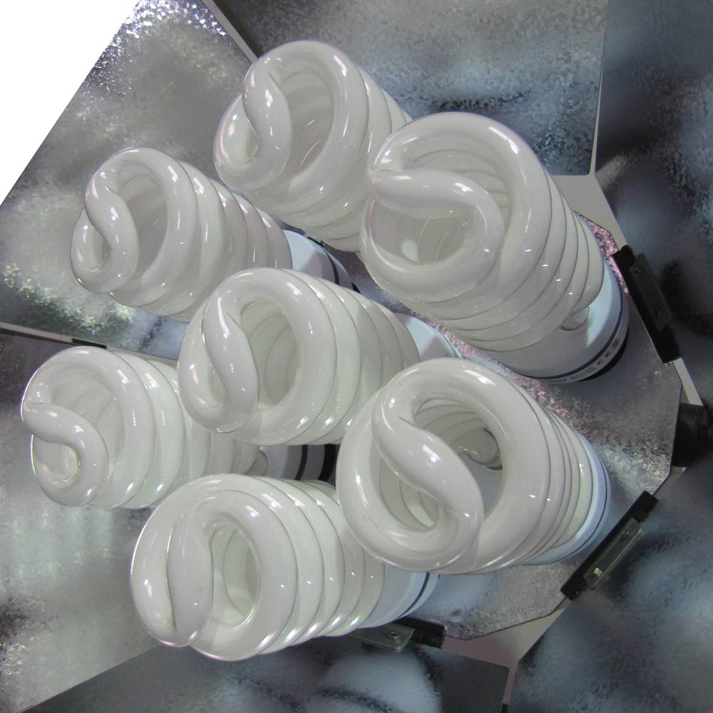 Spotlight 455W continui con hex fienile