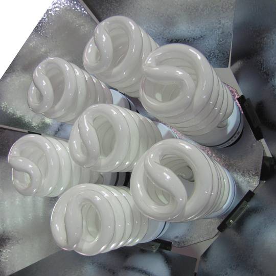 Spotlight 455W continui con hex fienile