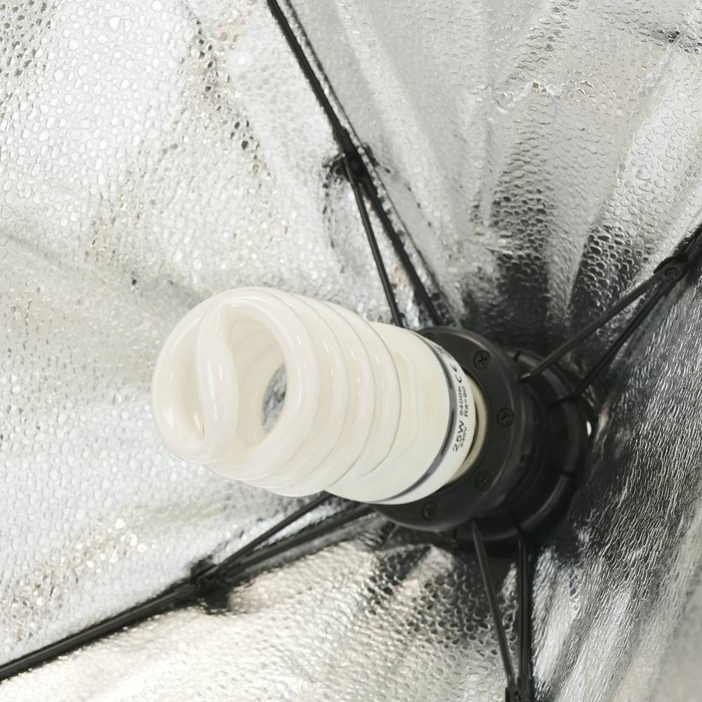 Konzentrieren Dauerlicht mit Softbox 50x70cm 1xE27