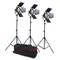 Kit de iluminación de estudio fotográfico con 3 focos de luz continua de 800W