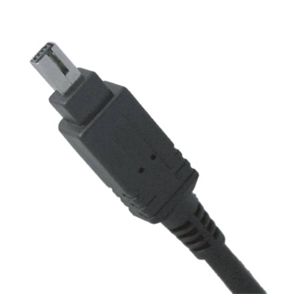 Trigger per Nikon D70S D80 timer