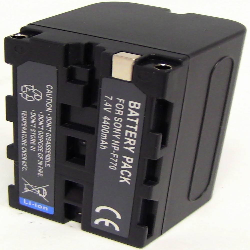 Professionale Torcia 2 LED batteria 300 lux Sony F770