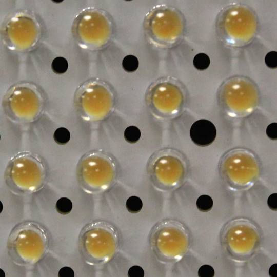 Panneau 576 34.5W LED et température de couleur de 3200K et 5600K
