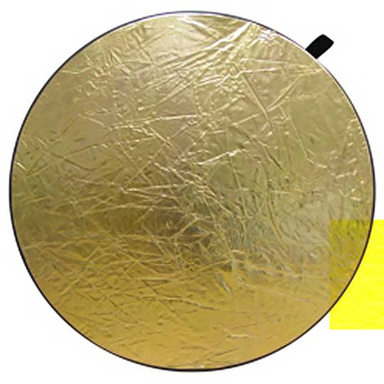 Panel Reflector 5 en 1 (107cm)