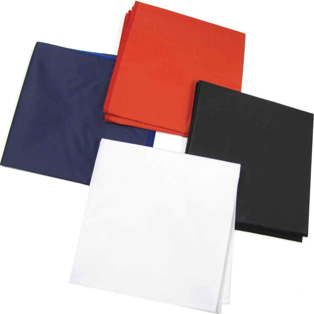 Portable Photo Studio 50x50x50 cm avec deux foyers et 4 chroma