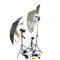 Studio lighting kit D