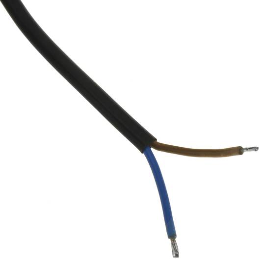 Clavija bipolar 250V 2 A con cable de 2 mtrs de 2x0,75 mm en negro