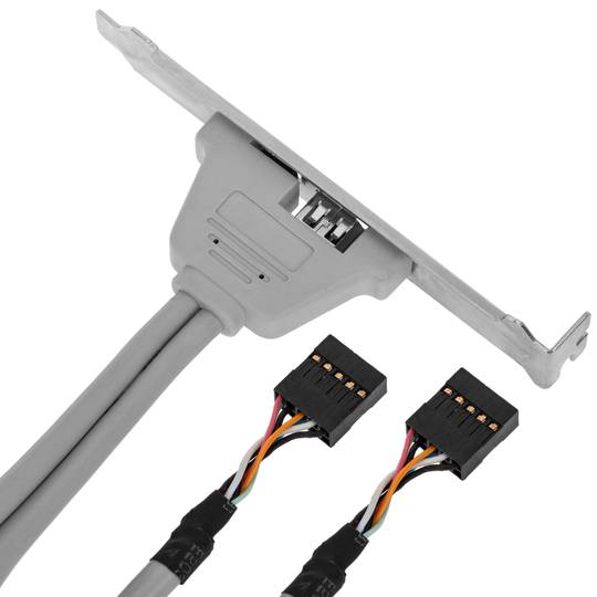 Placa de conexión FireWire 400 IEEE 1394 de 4 pines y 6 pines hembra
