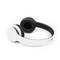 Cuffie Bluetooth Gembird Berlin bianche