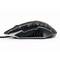 Gembird 6 Button Wired LED Optical Mouse Black