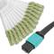 Câble Fanout à fibre optique OM3 multimode 50µm/125µm MTP/PC à 12 x LC/PC 10Gb de 3 m