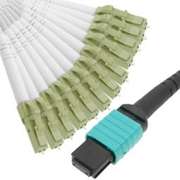 Câble Fanout à fibre optique OM3 multimode 50µm/125µm MTP/PC à 12 x LC/PC 10Gb de 5 m