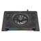 Coussin de refroidissement Genesis Oxid 450 RGB pour ordinateurs portables jusqu'à 15,6 pouces NHG-1678