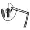 Radium 300 Studio XLR microphone from Genesis with NGM-1695 pop filter arm
