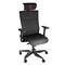 Gaming-Stuhl ergonomisch schwarz Genesis Astat 700 NFG-1945