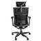 Gaming-Stuhl ergonomisch schwarz Genesis Astat 700 NFG-1945