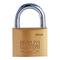 25mm brass padlock with 2 normal arch keys IFAM K25