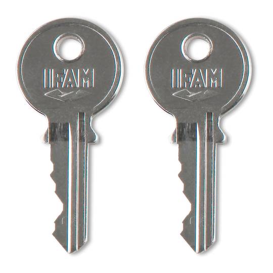 Cadenas en laiton de 40 mm avec 2 clés et anse normale IFAM K40