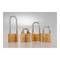 50mm brass padlock with 2 keys and normal shackle IFAM K50
