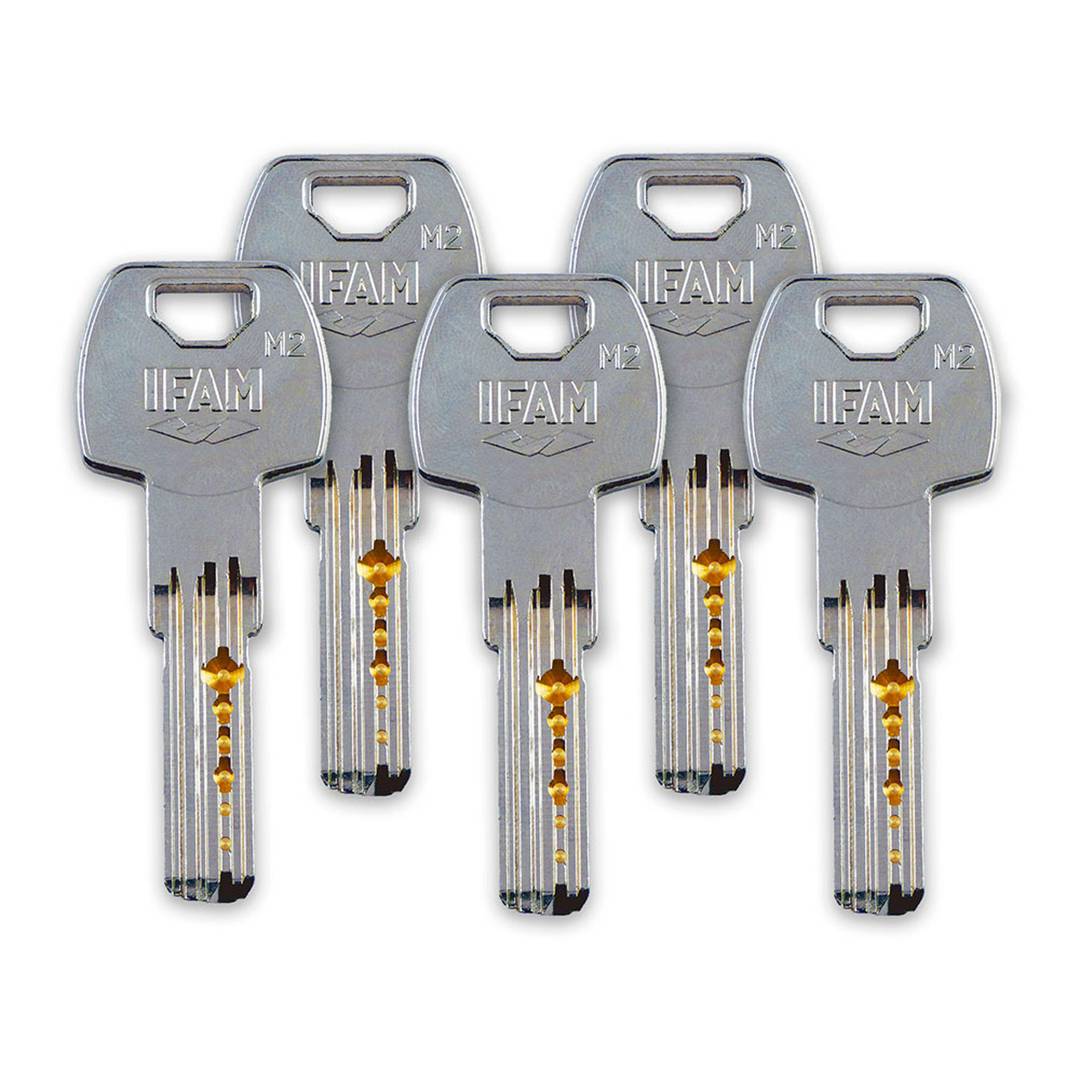 Bolt with brass finish with 50 mm cylinder and 5 IFAM CS88L M50 keys