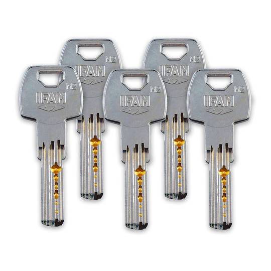 Bolt with brass finish with 50 mm cylinder and 5 IFAM CS88L M50 keys