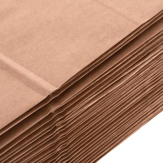 SOS biologisch abbaubare Kraftpapiertüten mit Griffen, 25 Stück.