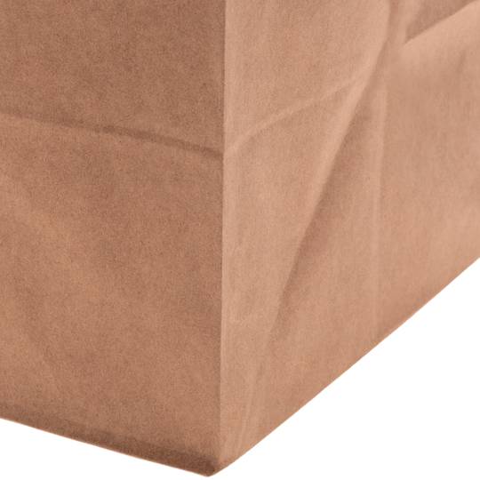SOS biologisch abbaubare Kraftpapiertüten mit Griffen, 25 Stück.