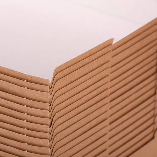 Hamburger doosjes van biologisch afbreekbaar nano-micro karton (XL), 50 stuks.
