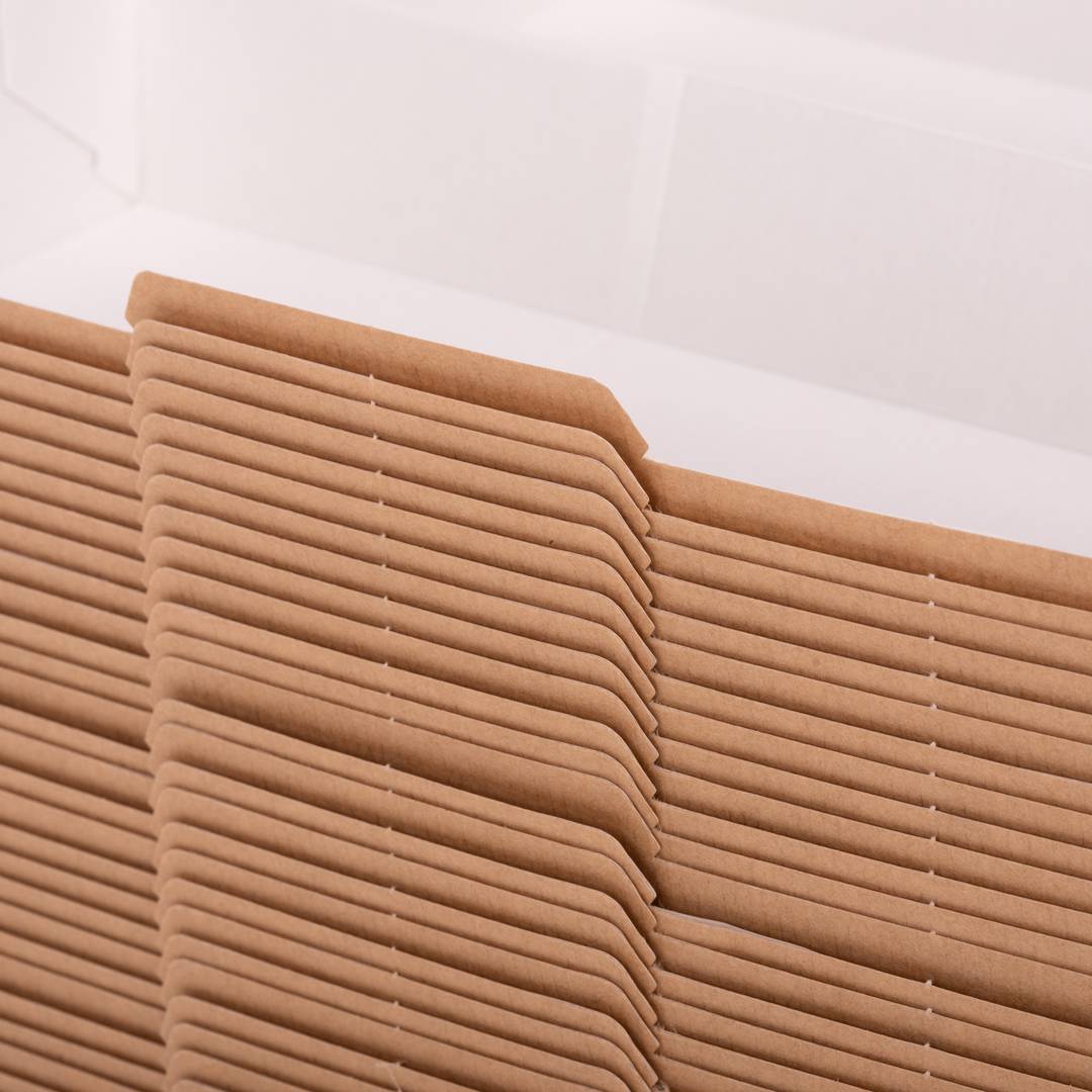 Panini doosjes van nano-micro biologisch afbreekbaar karton, 50 stuks.