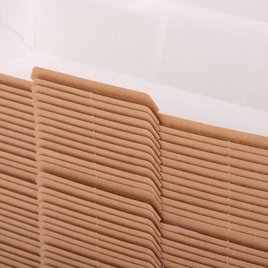 Panini doosjes van nano-micro biologisch afbreekbaar karton, 50 stuks.