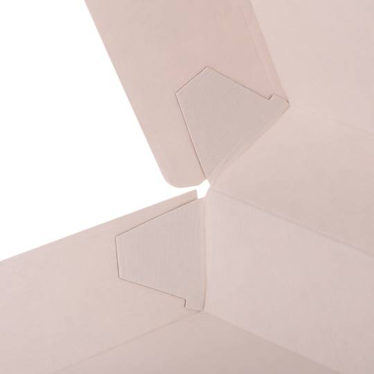 Panini doosjes van nano-micro biologisch afbreekbaar karton, 50 stuks.