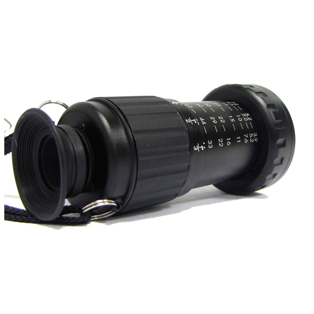 Viewer 11X extensible type manager