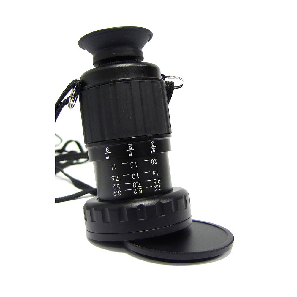 Viewer 11X extensible type manager