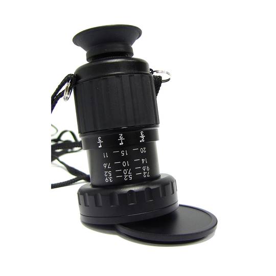 Viewer 11X extensible type manager