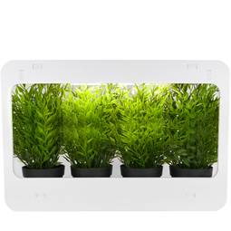 Kit di crescita delle piante per uso interno con luce LED bianca 850 lm 14W