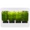 Plantengroeikit voor gebruik binnenshuis met wit LED-licht 850 lm 14W