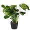 Pflanzsack aus Vliesstoff Pflanze Tasche Root Container wachsen 8-Liter 23x25cm