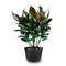 Pflanzsack aus Vliesstoff Pflanze Tasche Root Container wachsen 80-Liter 55x40cm