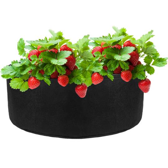 Bolsa de cultivo y crecimiento de plantas 65x30cm 4 unidades