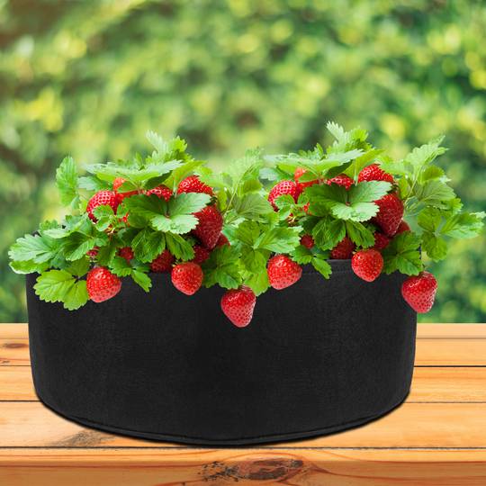 Bolsa de cultivo y crecimiento de plantas 65x30cm 4 unidades