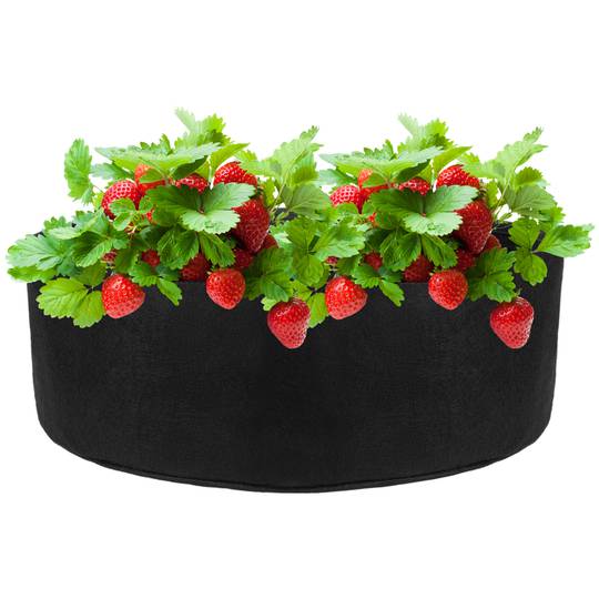 Bolsa de cultivo y crecimiento de plantas 87x30cm 3 unidades