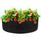 Bolsa de cultivo y crecimiento de plantas 87x30cm 3 unidades