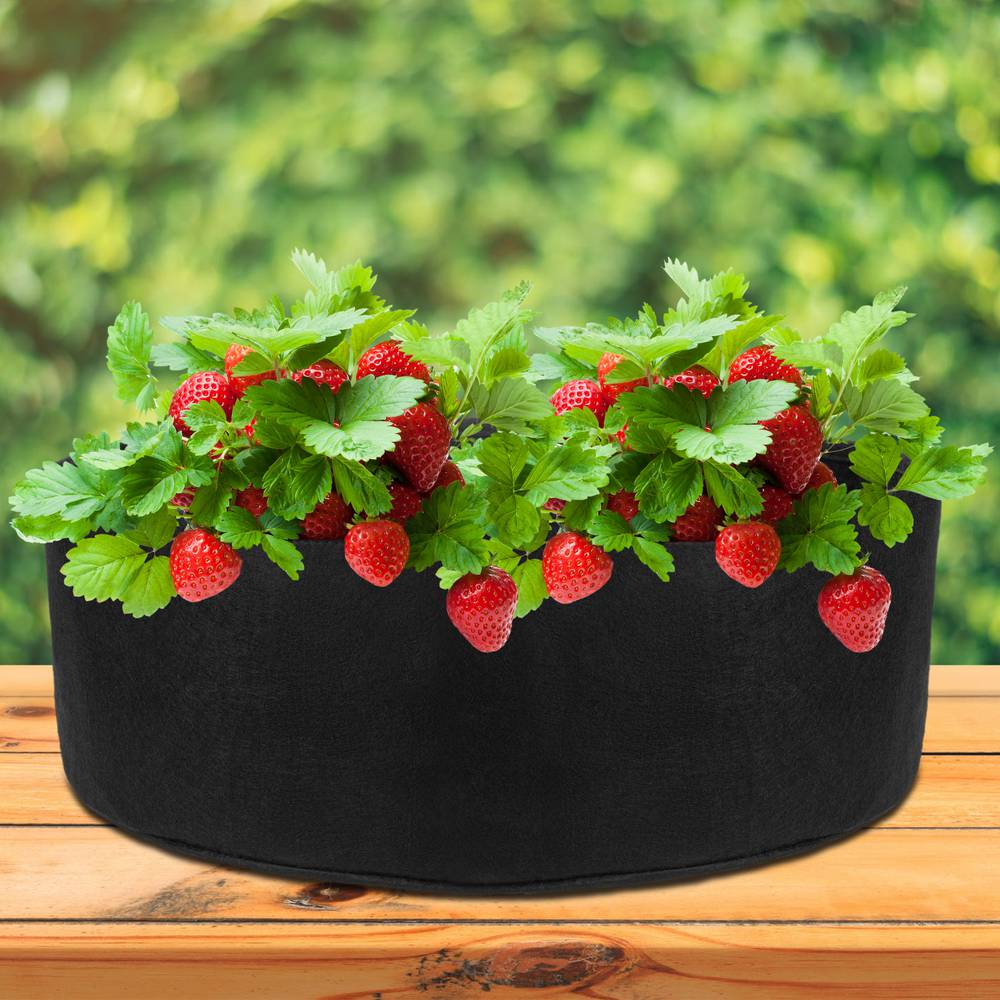 Bolsa de cultivo y crecimiento de plantas 87x30cm 3 unidades