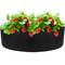 Bolsa de cultivo y crecimiento de plantas 125x30cm 3 unidades