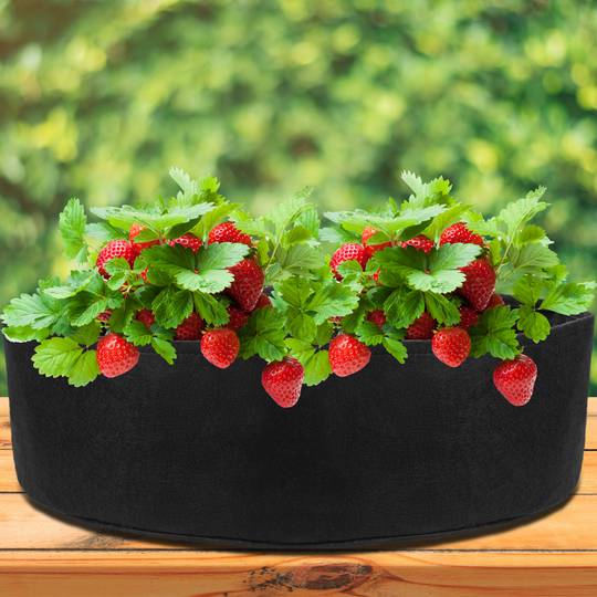 Bolsa de cultivo y crecimiento de plantas 125x30cm 3 unidades